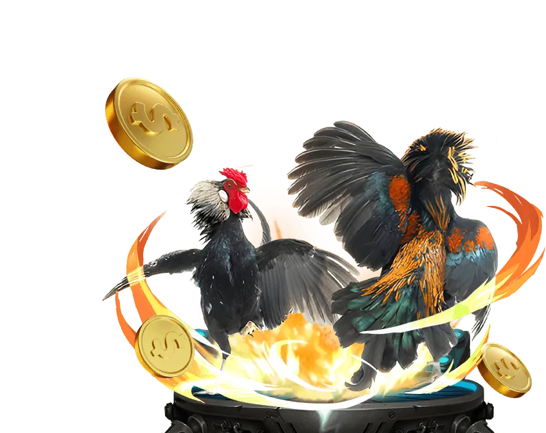 Hình ảnh quản lý vốn hiệu quả khi chơi casino TT88